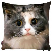 Kedili Yastık Kılıfı